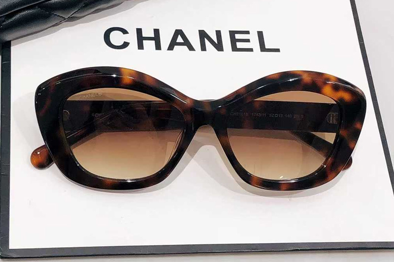 glasses